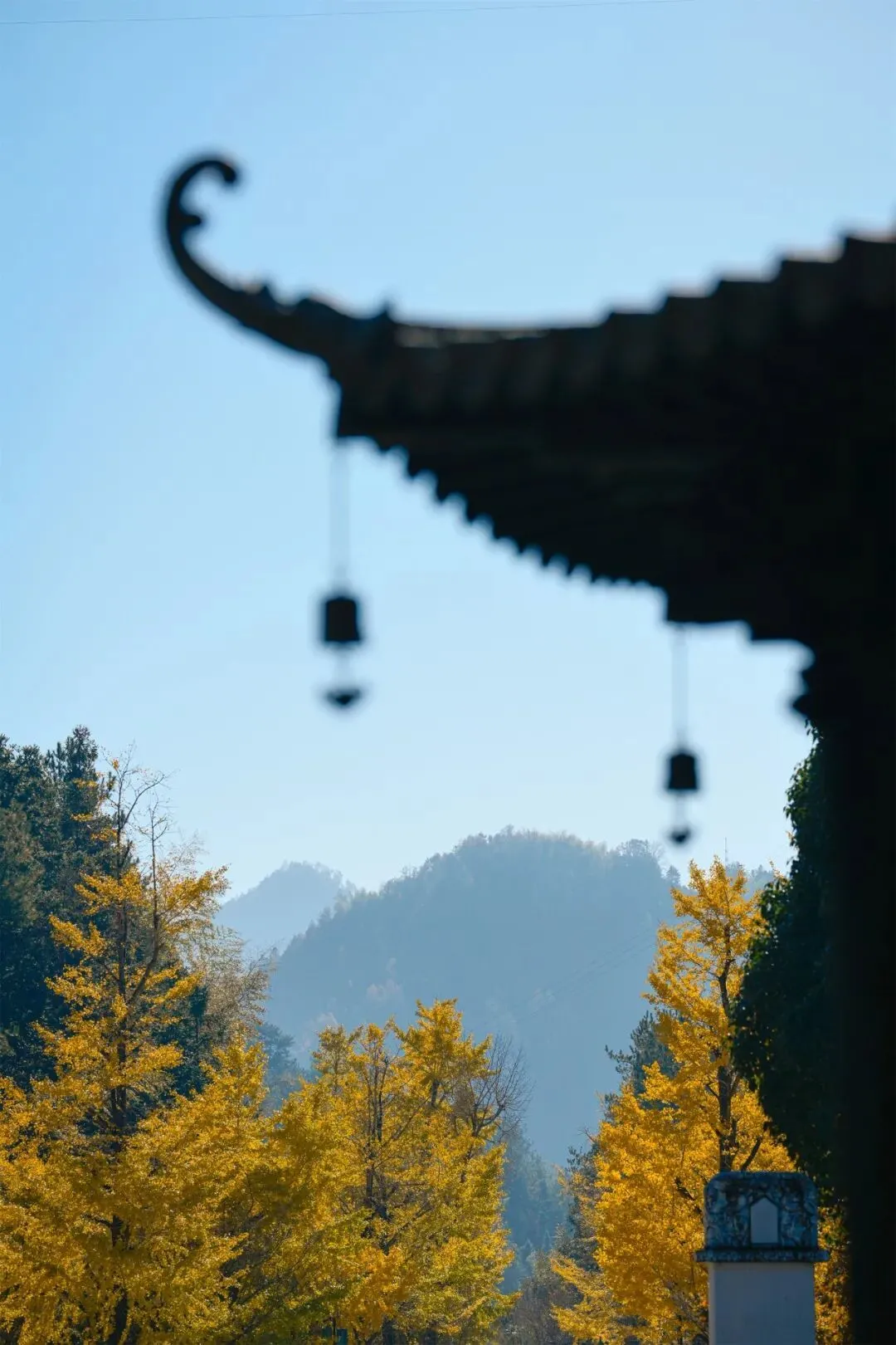 古檐望秋(摄影:法舟)