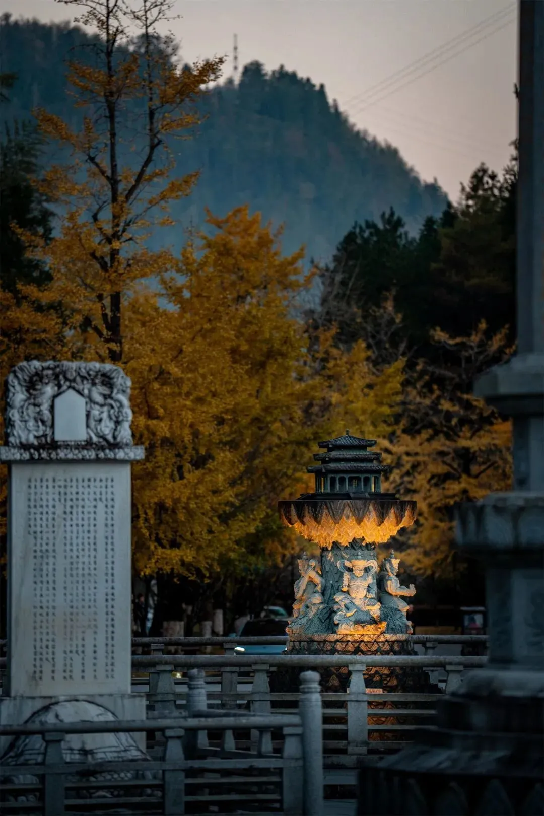 金叶梵音(摄影:艺净)