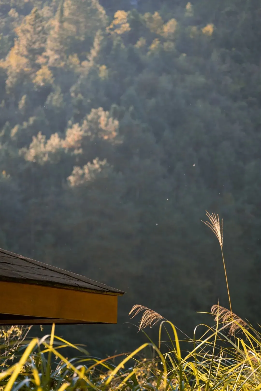 光芒(摄影:法舟)