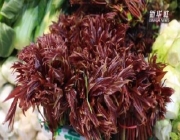 春天里的鲜美滋味 